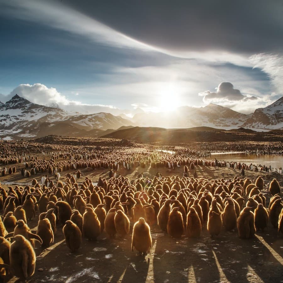 South Georgia Island