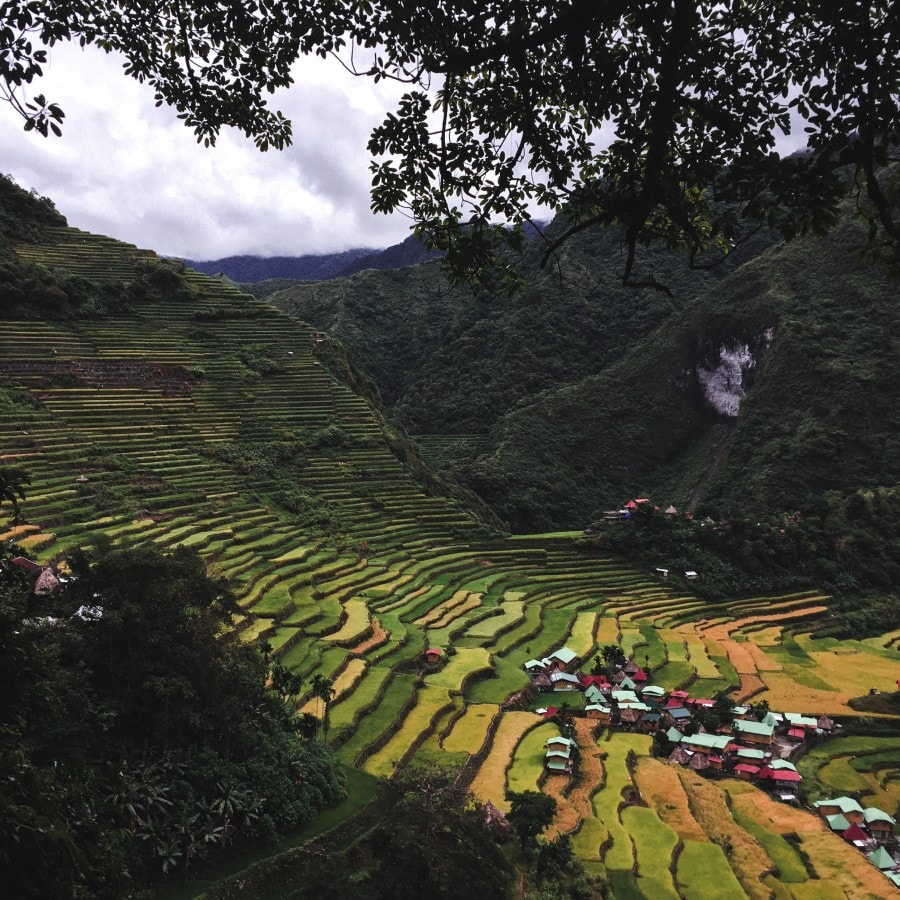 Cordillera Terraces