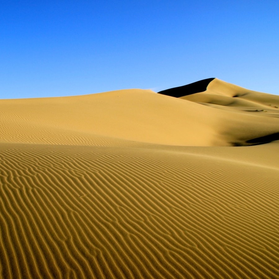 Gobi desert